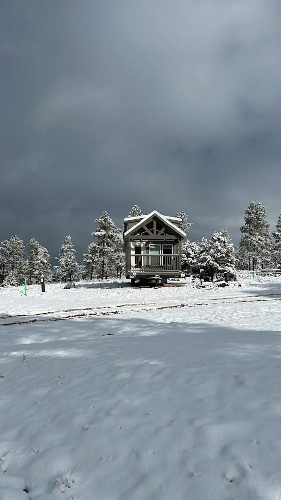 Cozy Cabin By Forest View 4B Williams Luaran gambar
